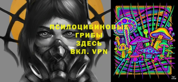 apvp Аркадак