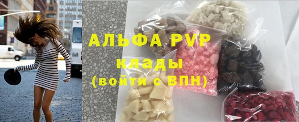 гашиш Богданович