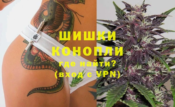 гашиш Богданович
