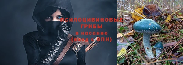 а пвп мука Арсеньев