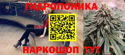 хмурый Гусь-Хрустальный