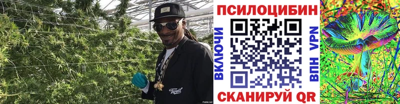 как найти закладки  Мурманск  Псилоцибиновые грибы ЛСД 