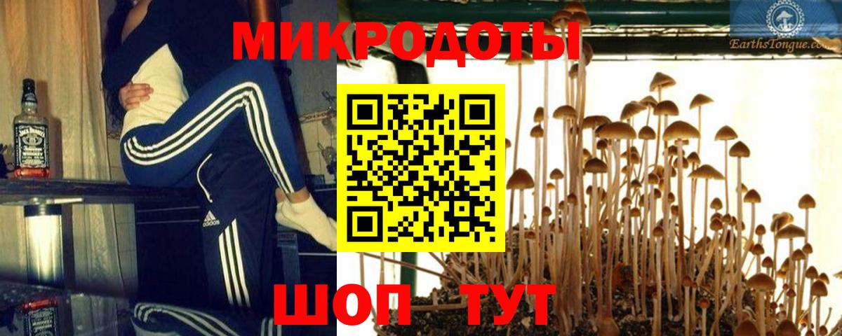 Мурманск  Псилоцибиновые грибы мухоморы  Вход с VPN 